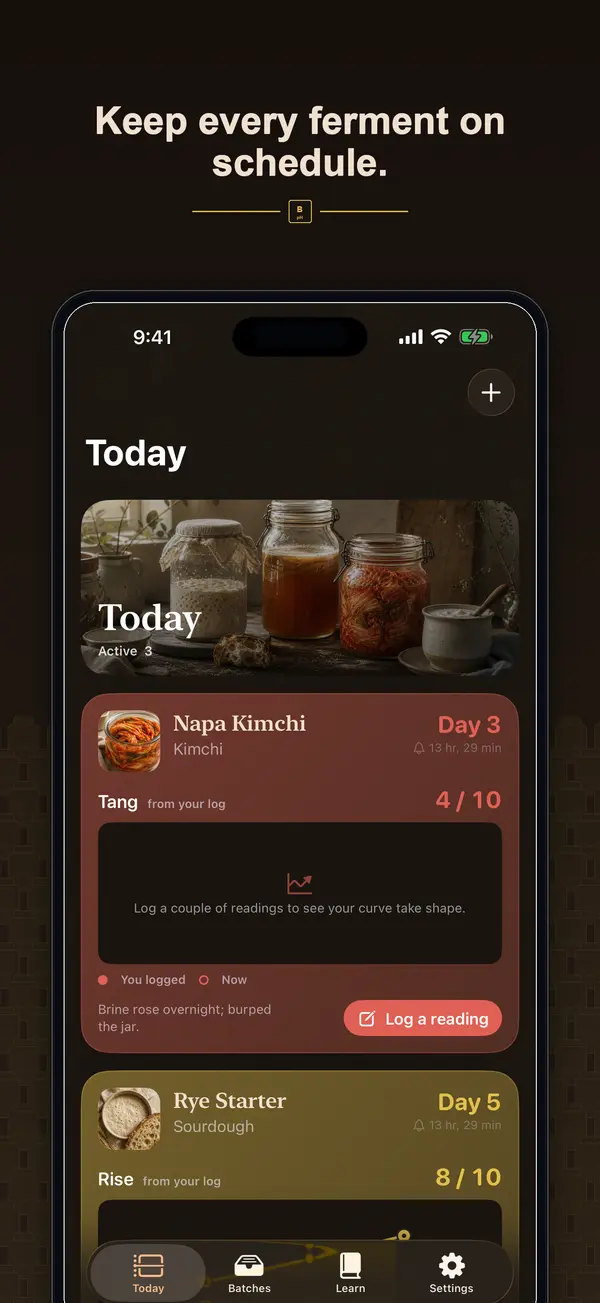 Brinepost screenshot