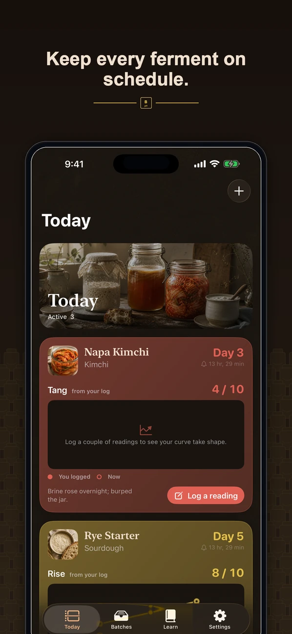 Brinepost screenshot
