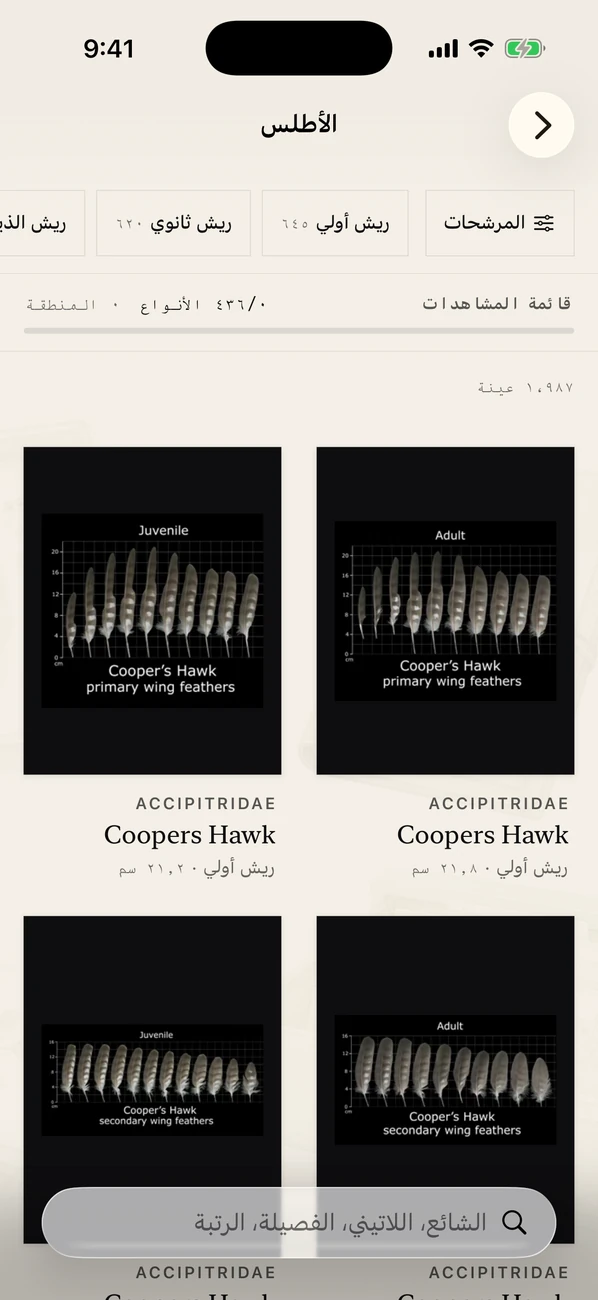 Plumes لقطة شاشة
