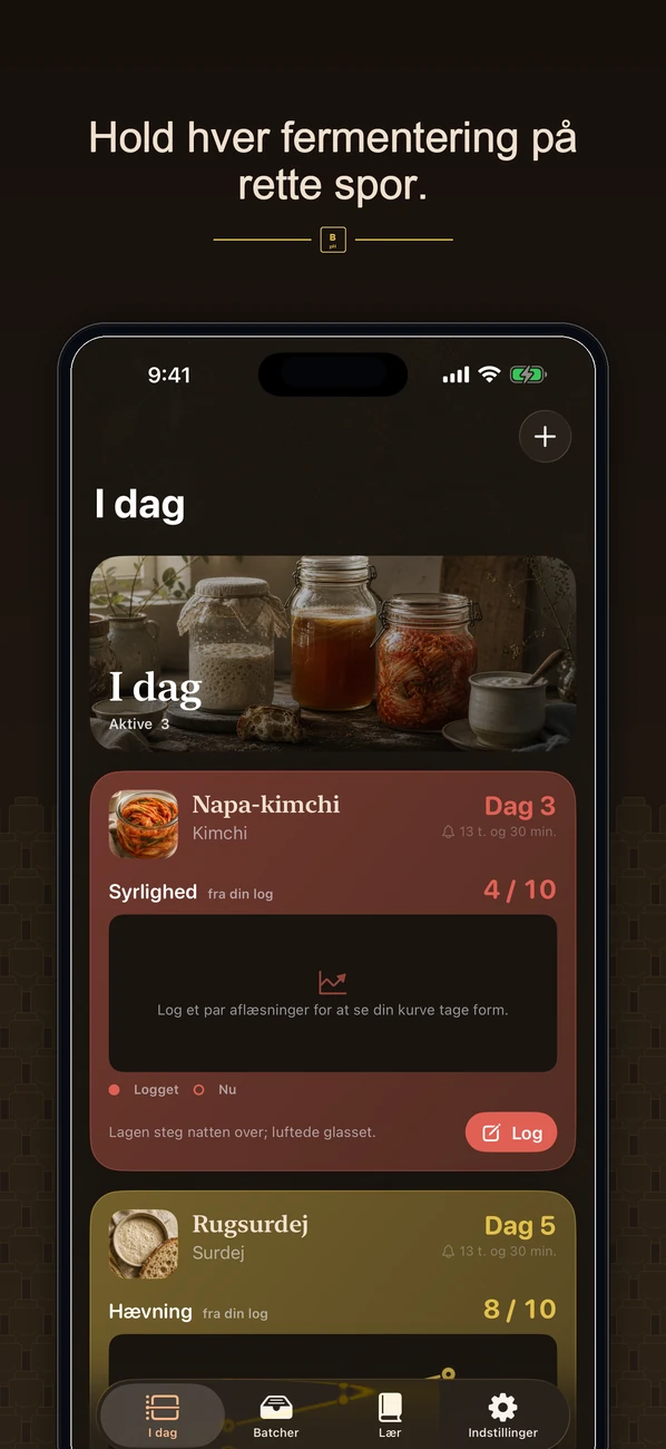 Brinepost skærmbillede
