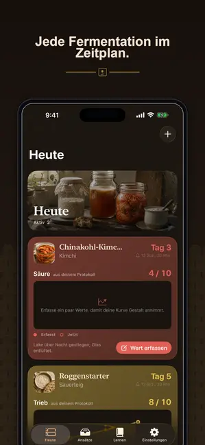 Brinepost Screenshot