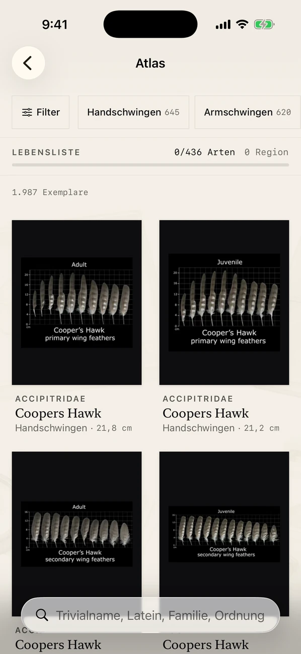 Plumes Screenshot