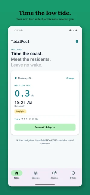 Tidal Pool: Ebbe & Gezeiten Screenshot