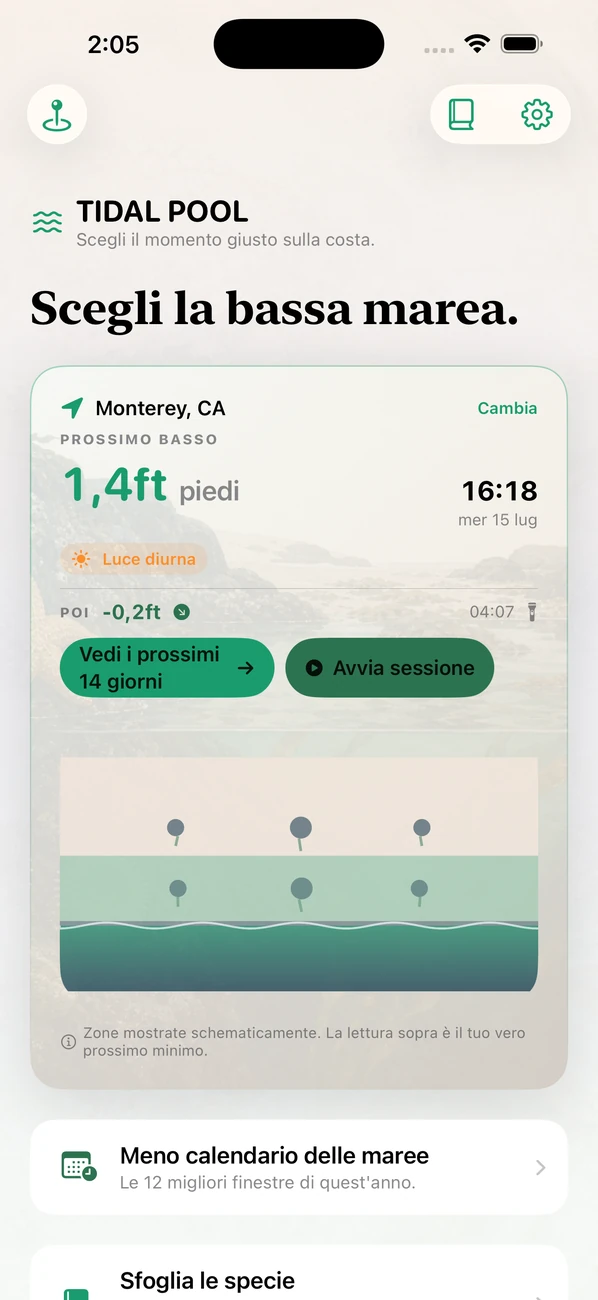 Tidal Pool: maree e coste screenshot