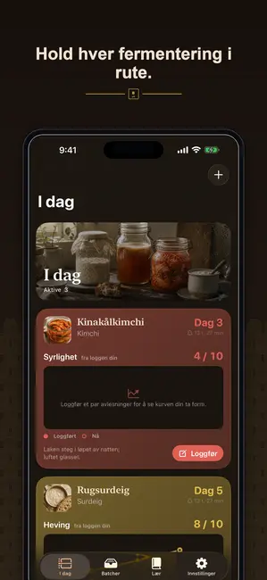 Brinepost skjermbilde