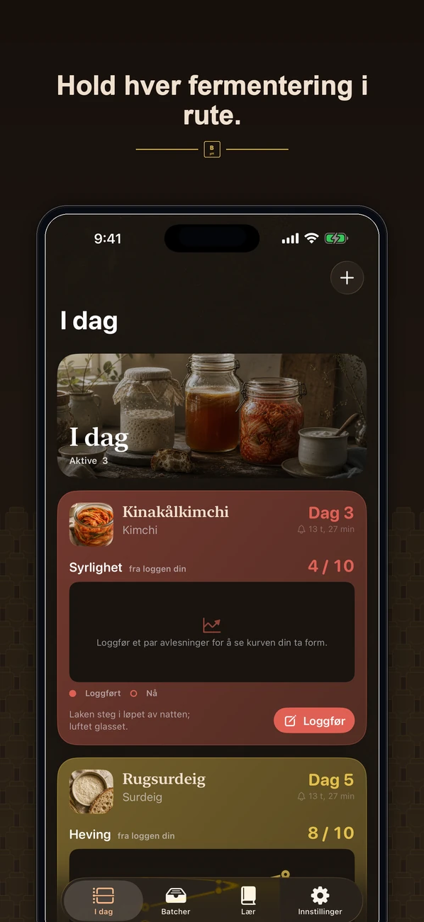 Brinepost skjermbilde