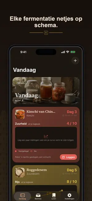 Brinepost schermafbeelding