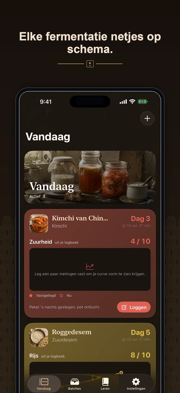 Brinepost schermafbeelding