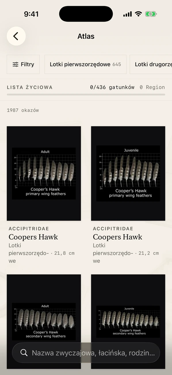 Plumes zrzut ekranu