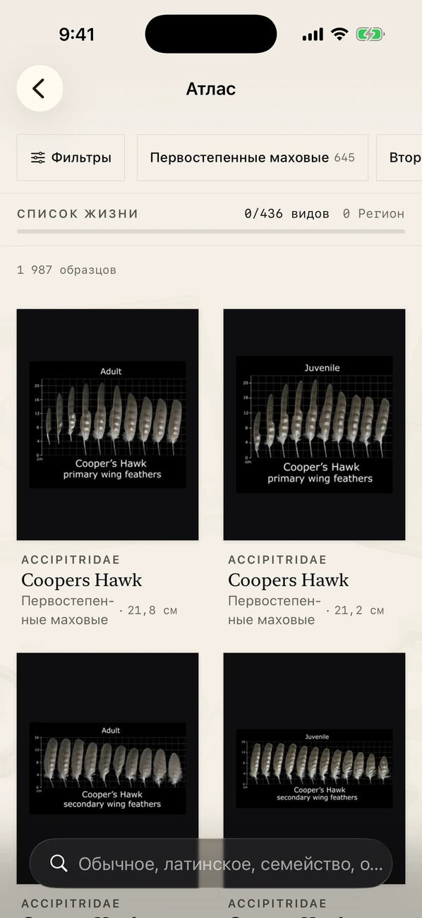 Plumes скриншот