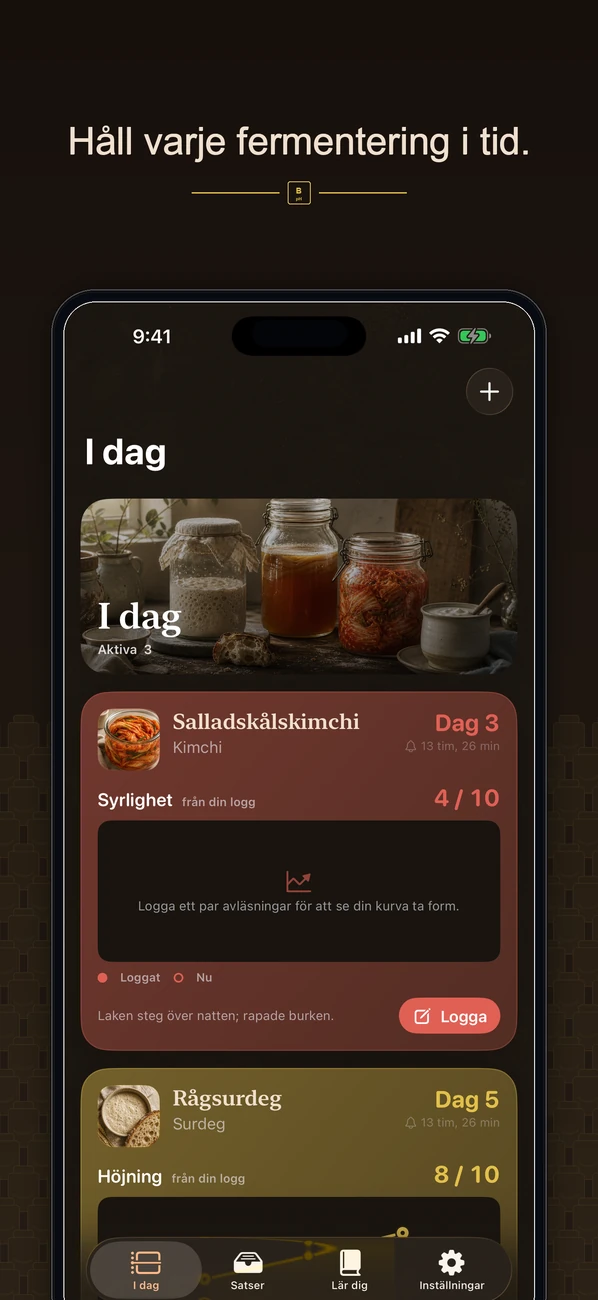 Brinepost skärmbild