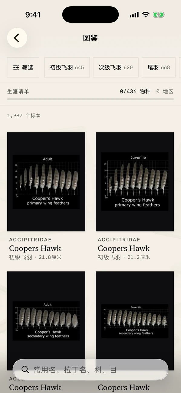 Plumes 截图