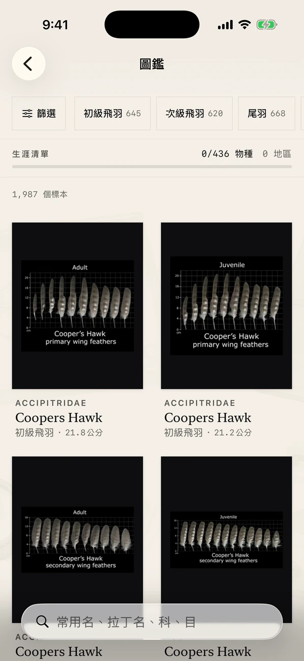 Plumes 截圖