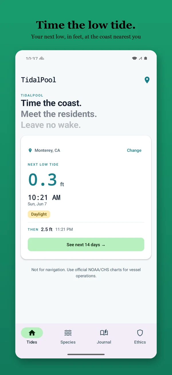 Tidal Pool: Tidepool Timing screenshot