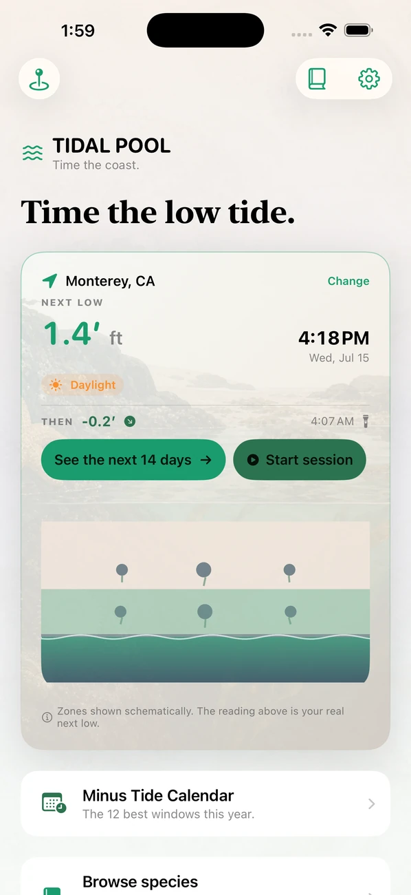 Tidal Pool: Tidepool Timing screenshot
